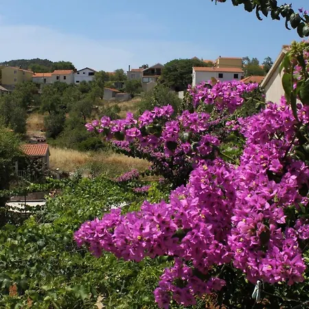 דירה 8153b סאלי