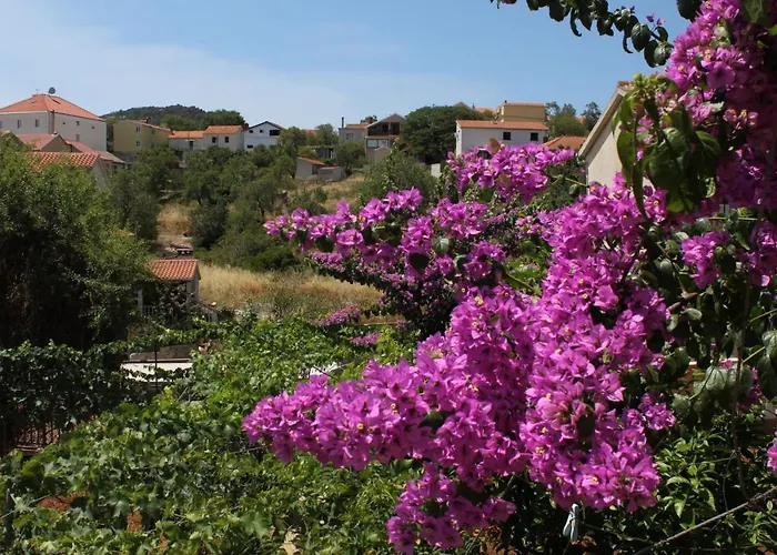 דירה 8153b סאלי